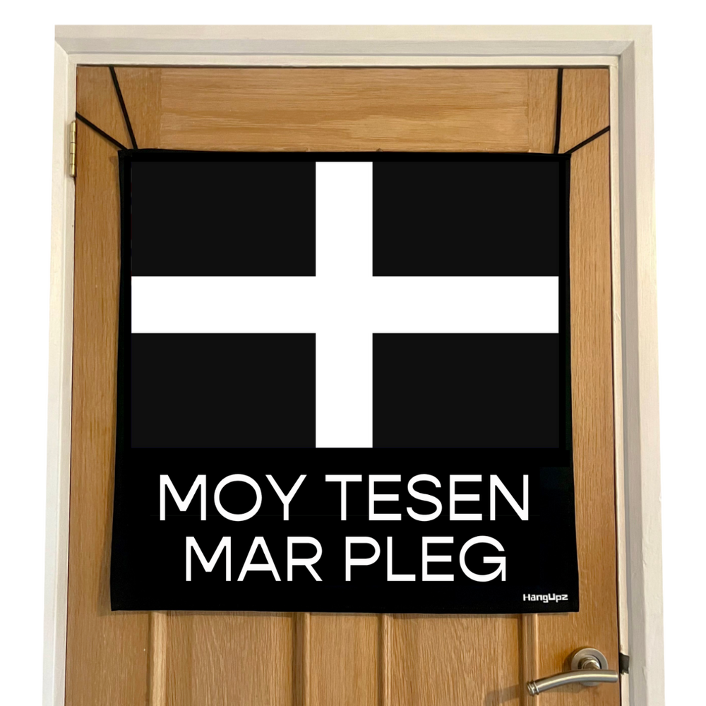 HANGUPZ Cornwall Flag 'More Cake Please' Large Original Door-Hang Decoration Gift