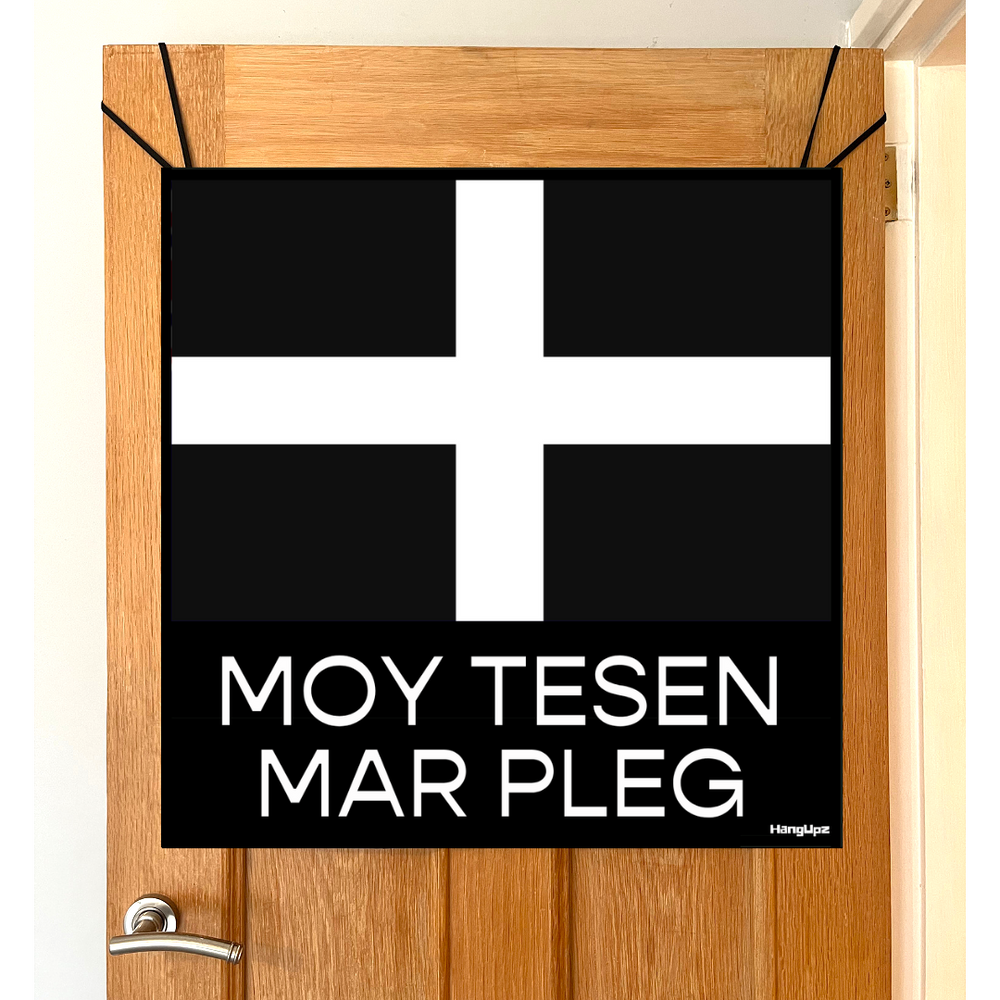 HANGUPZ Cornwall Flag 'More Cake Please' Large Original Door-Hang Decoration Gift