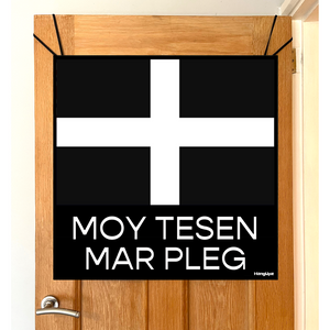 HANGUPZ Cornwall Flag 'More Cake Please' Large Original Door-Hang Decoration Gift