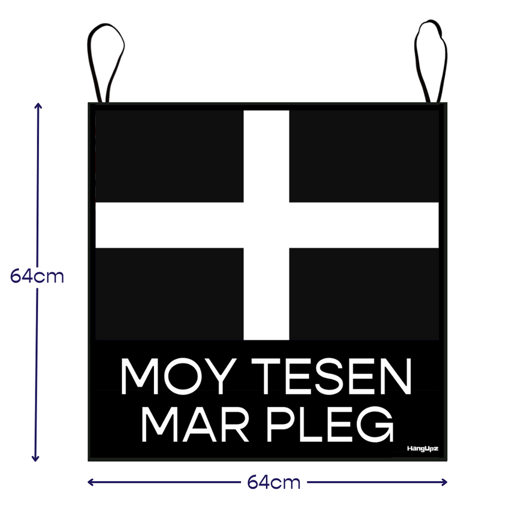 HANGUPZ Cornwall Flag 'More Cake Please' Large Original Door-Hang Decoration Gift