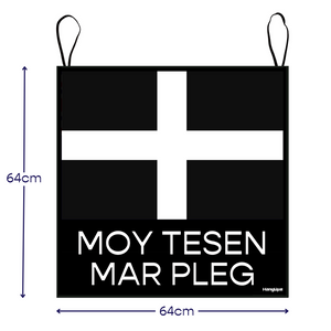 HANGUPZ Cornwall Flag 'More Cake Please' Large Original Door-Hang Decoration Gift